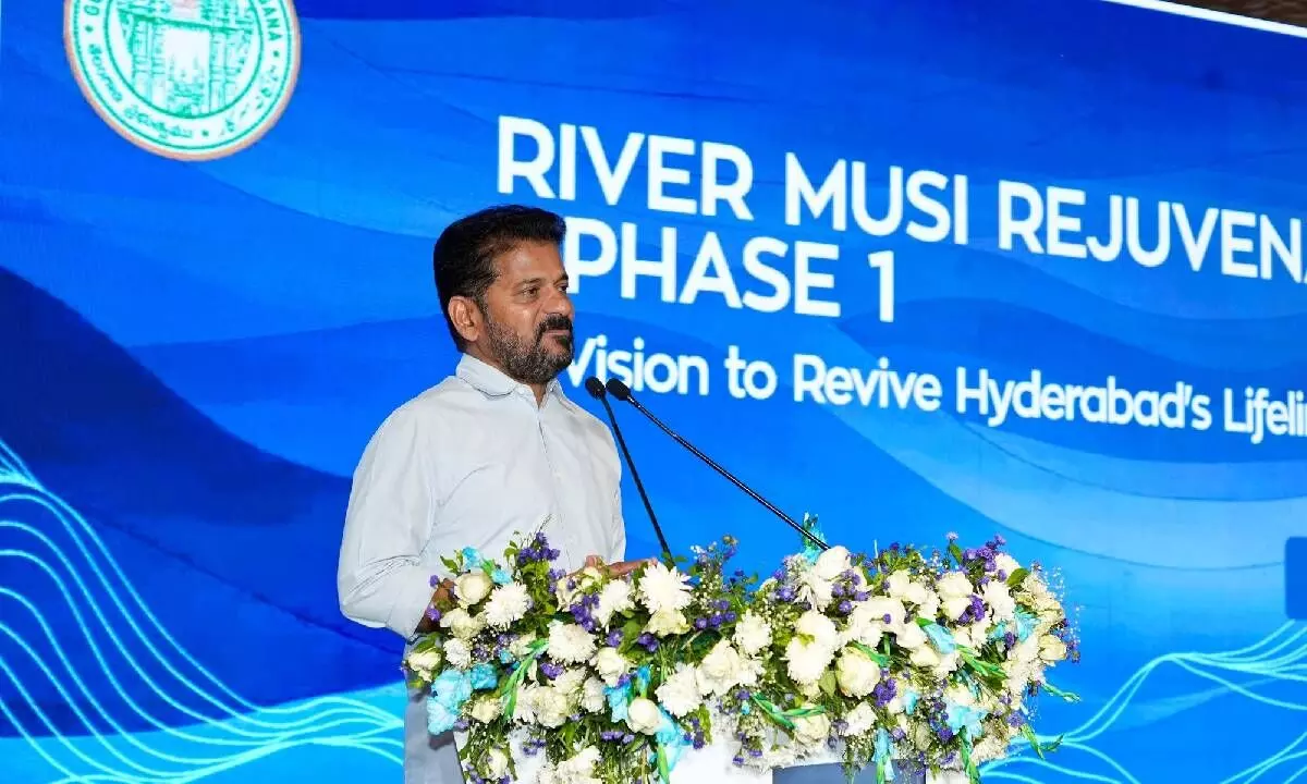 Cabinet panel to oversee Musi Rejuvenation project