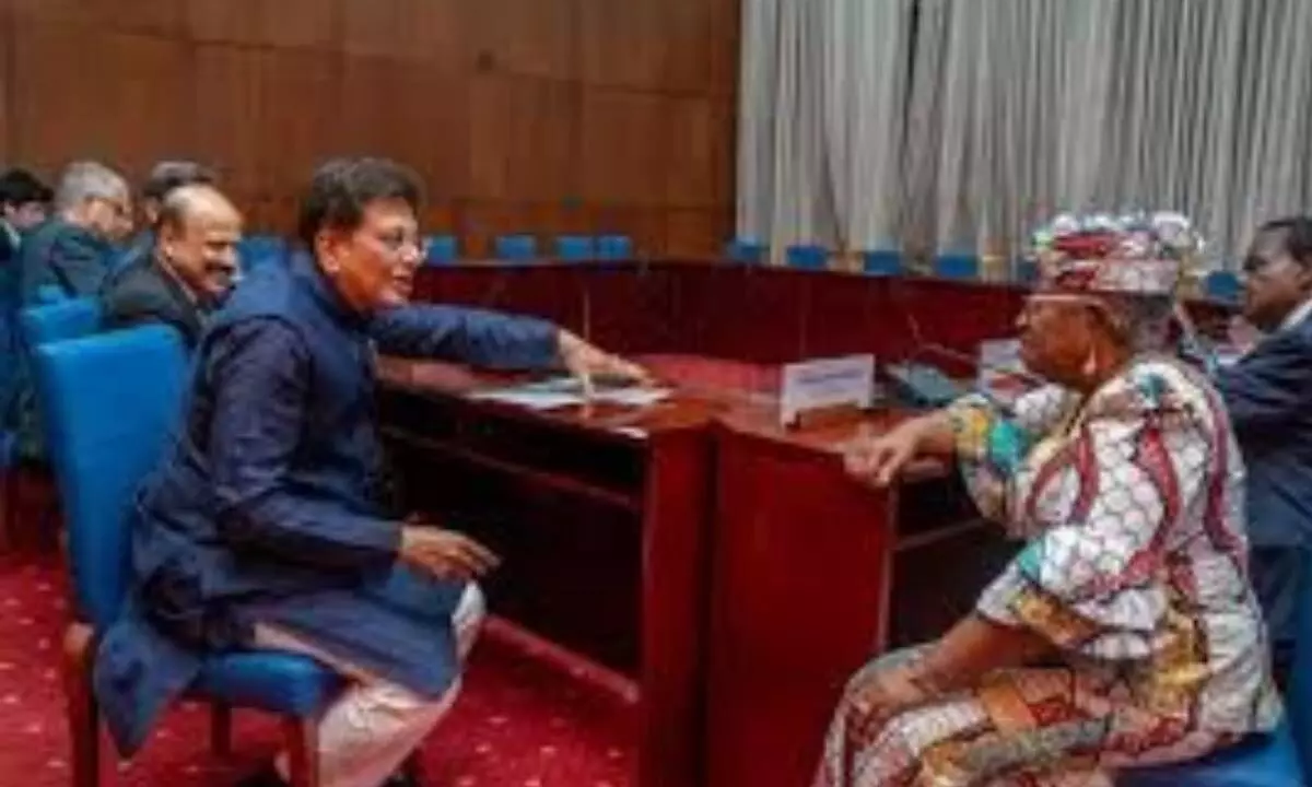 India, African nations hold talks to boost trade ties