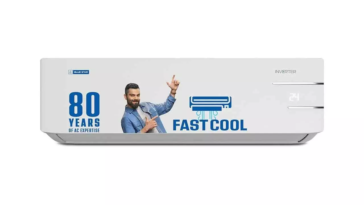 Blue Star flags price hike due to demand uncertainty Blue Star flags price hike due to demand uncertainty