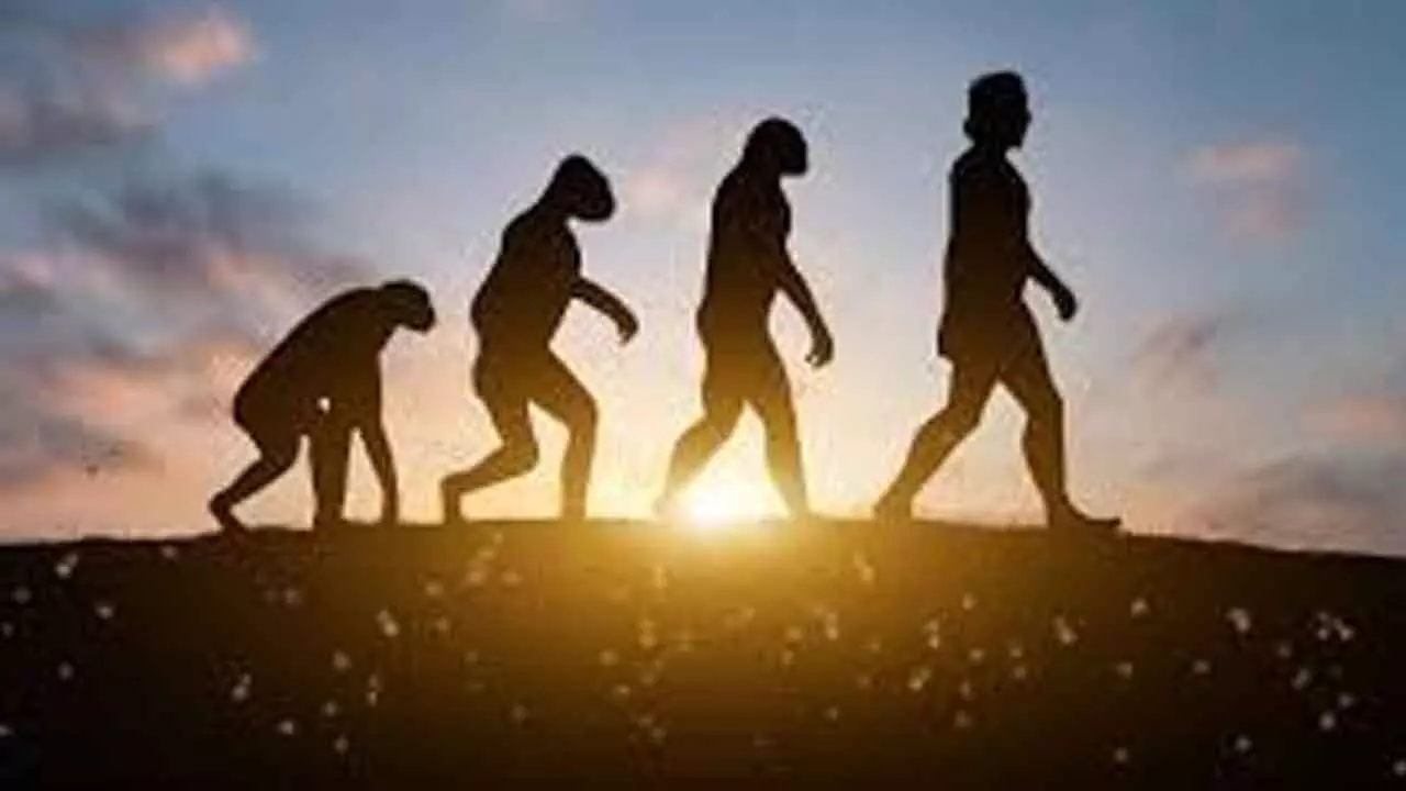 Why the human body is a patchwork of compromises, not a perfect design Why the human body is a patchwork of compromises, not a perfect design